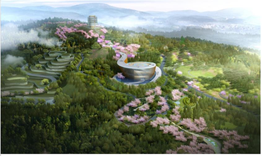 1559292782881086282.jpg 360截圖20190531165144438.jpg